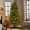American Tree & Wreath™ American Tree & Wreath Tree With 600 Leds Outlet