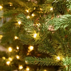 American Tree & Wreath™ American Tree & Wreath Tree With 600 Leds Outlet