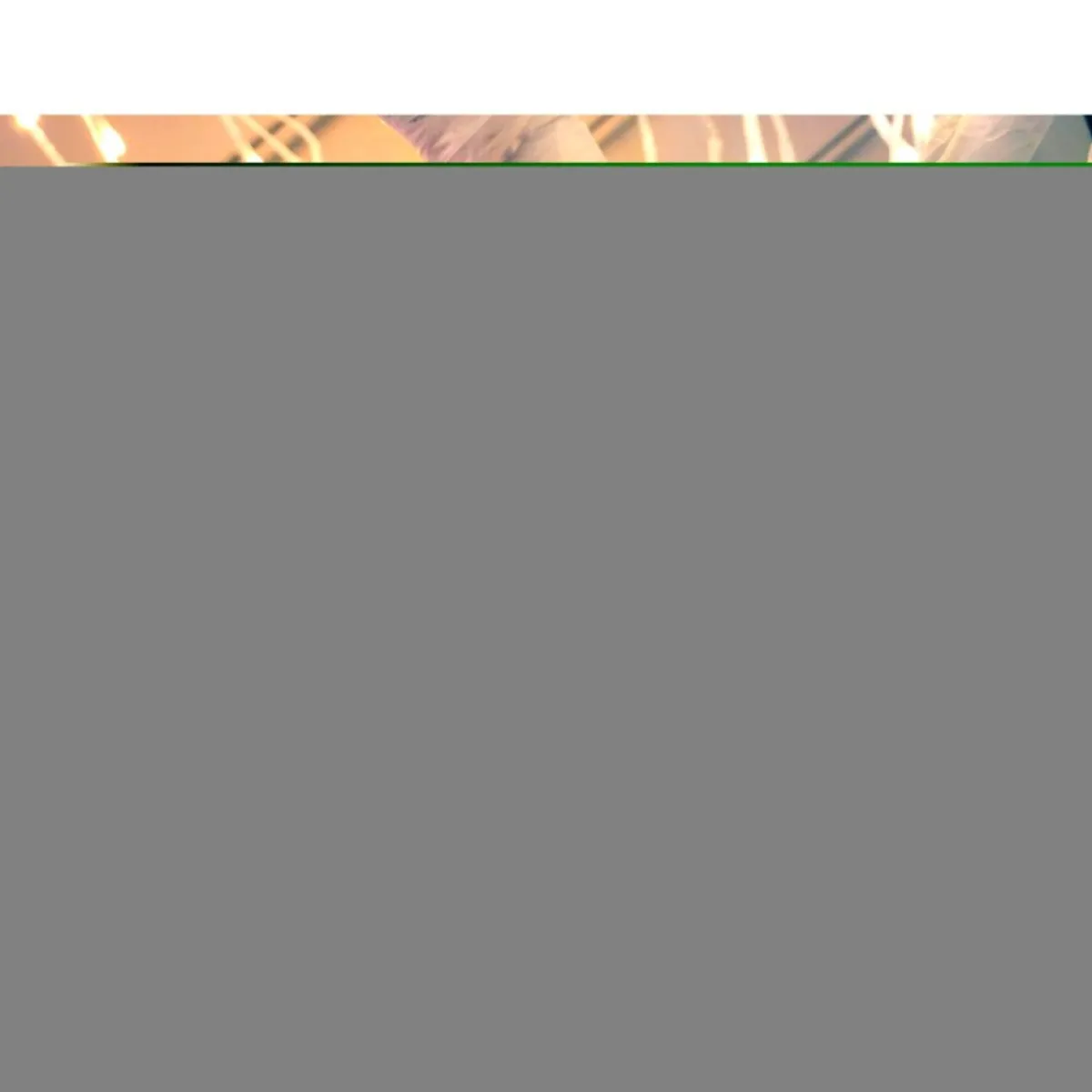 Winter Lane As Is 7' Color Changing Willow Tree Hot