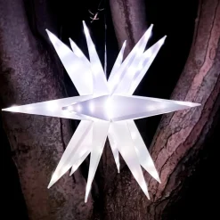 Winter Lane As Is Multifunction 22