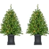 Fraser Hill Farm Boxwood Porch Tree In Black Pot With Warm White Lights, Set Of 2 Best