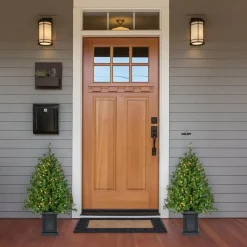 Fraser Hill Farm Boxwood Porch Tree In Black Pot With Warm White Lights, Set Of 2 Best