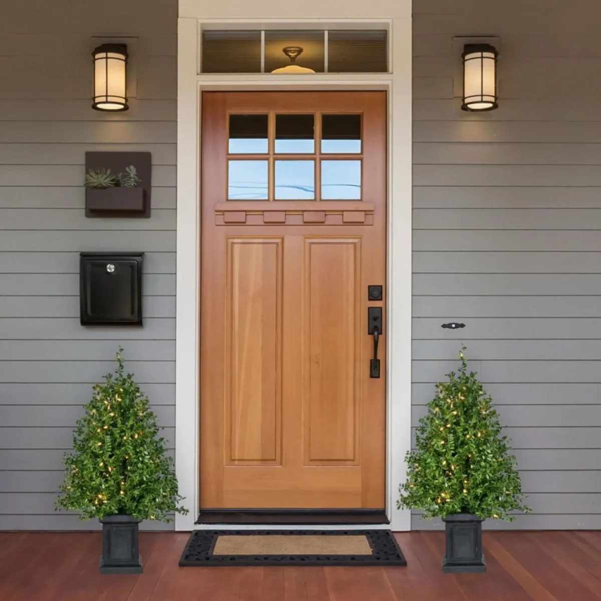 Fraser Hill Farm Boxwood Porch Tree In Black Pot With Warm White Lights, Set Of 2 Best