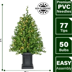 Fraser Hill Farm Boxwood Porch Tree In Black Pot With Warm White Lights, Set Of 2 Best