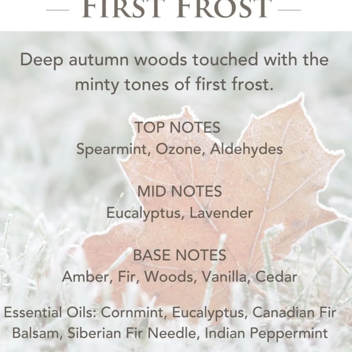 Candle Warmers Etc. 2.5 Oz. Wax Melts - Balsam Fir & First Frost