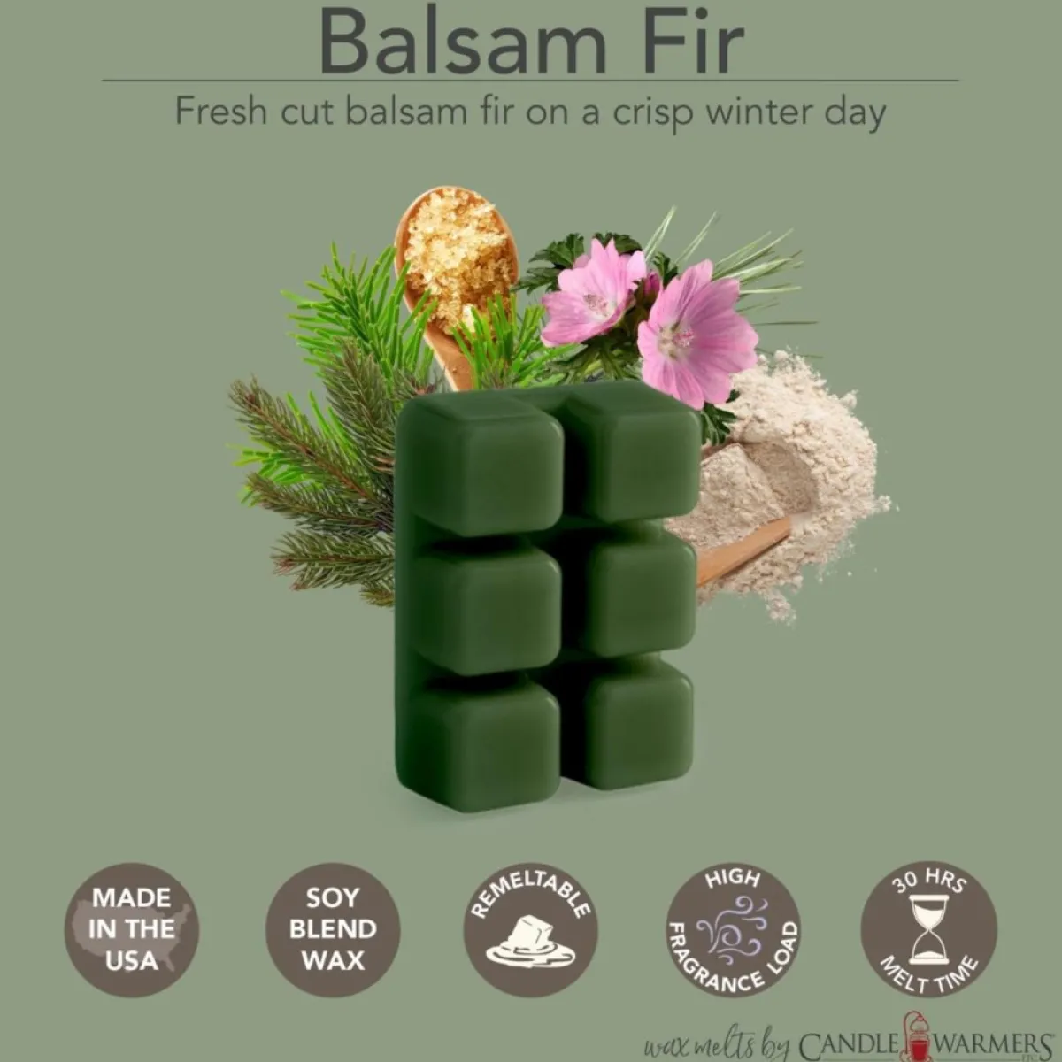 Candle Warmers Etc. 2.5 Oz. Wax Melts - Balsam Fir & First Frost