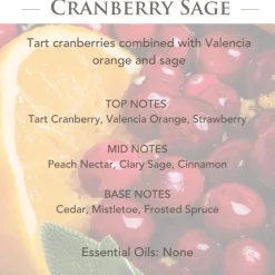 Candle Warmers Joy Wax Warmer With 2-Pack 2.5 Oz. Wax Melts New