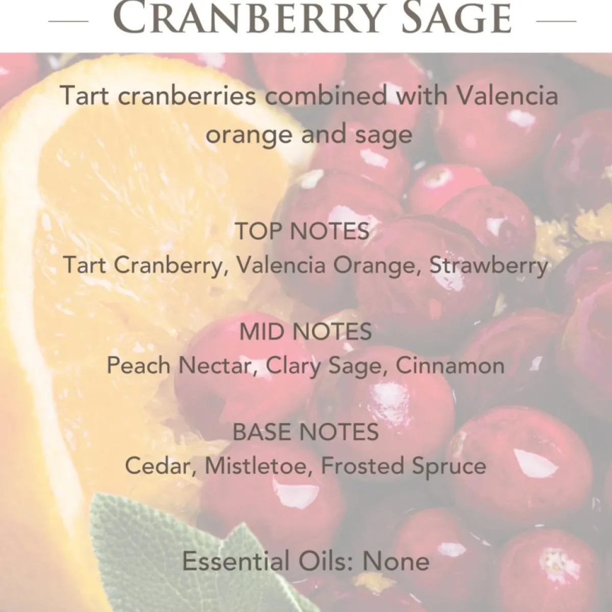 Candle Warmers Joy Wax Warmer With 2-Pack 2.5 Oz. Wax Melts New