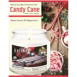 Courtside Market Courtside Maraket Believe Wax Candle In Glass Jar With Silver Lid Best