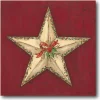 Courtside Market Brown Star With Holly 14" X 14" Wood Art Hot