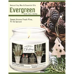 Courtside Market Merry Christmas Cardinals Wax Candle With Brushed Lid Hot