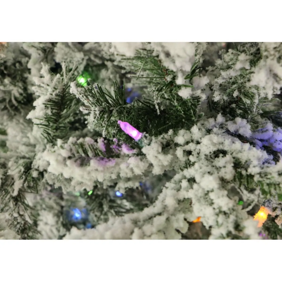 Fraiser Hill Farms 9-Ft. Flocked Mountain Pine Christmas Tree Online