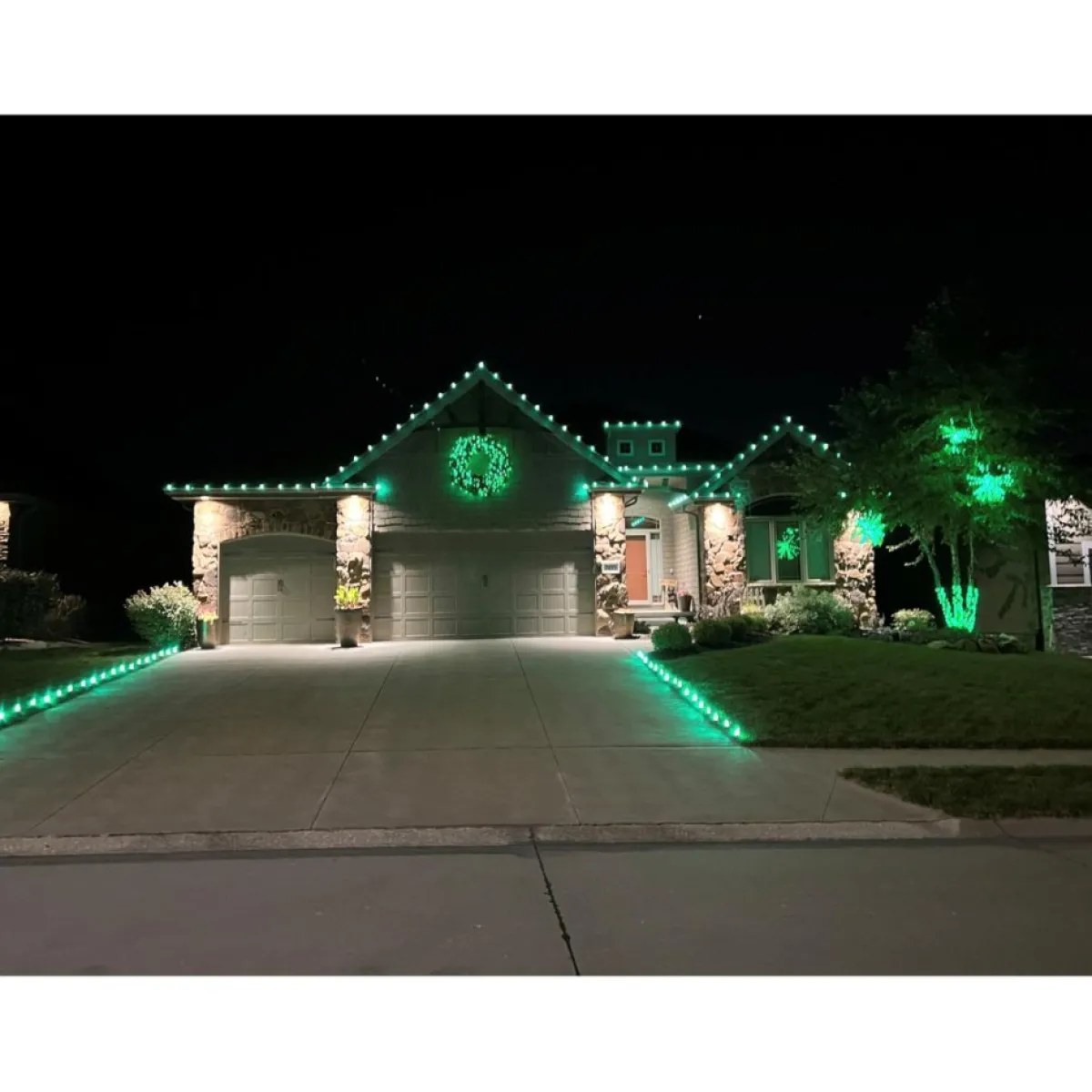 Holidaynamics Holidynamics 25 Bulb Add-On Dynamic Rgb Set