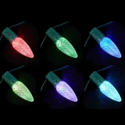 Holidaynamics Holidynamics Rgb C9 Bulb Starter Kit With Remote Outlet