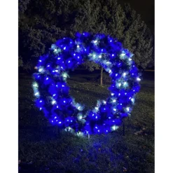 Holidaynamics Holidynamics Rgb C9 Bulb Starter Kit With Remote Outlet