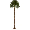 Nearly Natural 7' Artificial Christmas Palm Tree With 300 Led Lights Discount