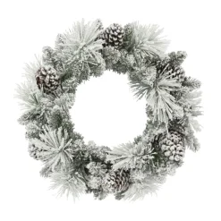 Puleo International 24" Flocked Berkshire Spruce Wreath With 56 Tips Sale