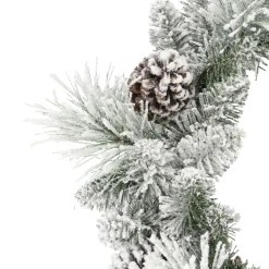 Puleo International 24