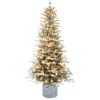Puelo International Puleo International 6' Pre-Lit Potted Flocked Arctic Fir Tree Online