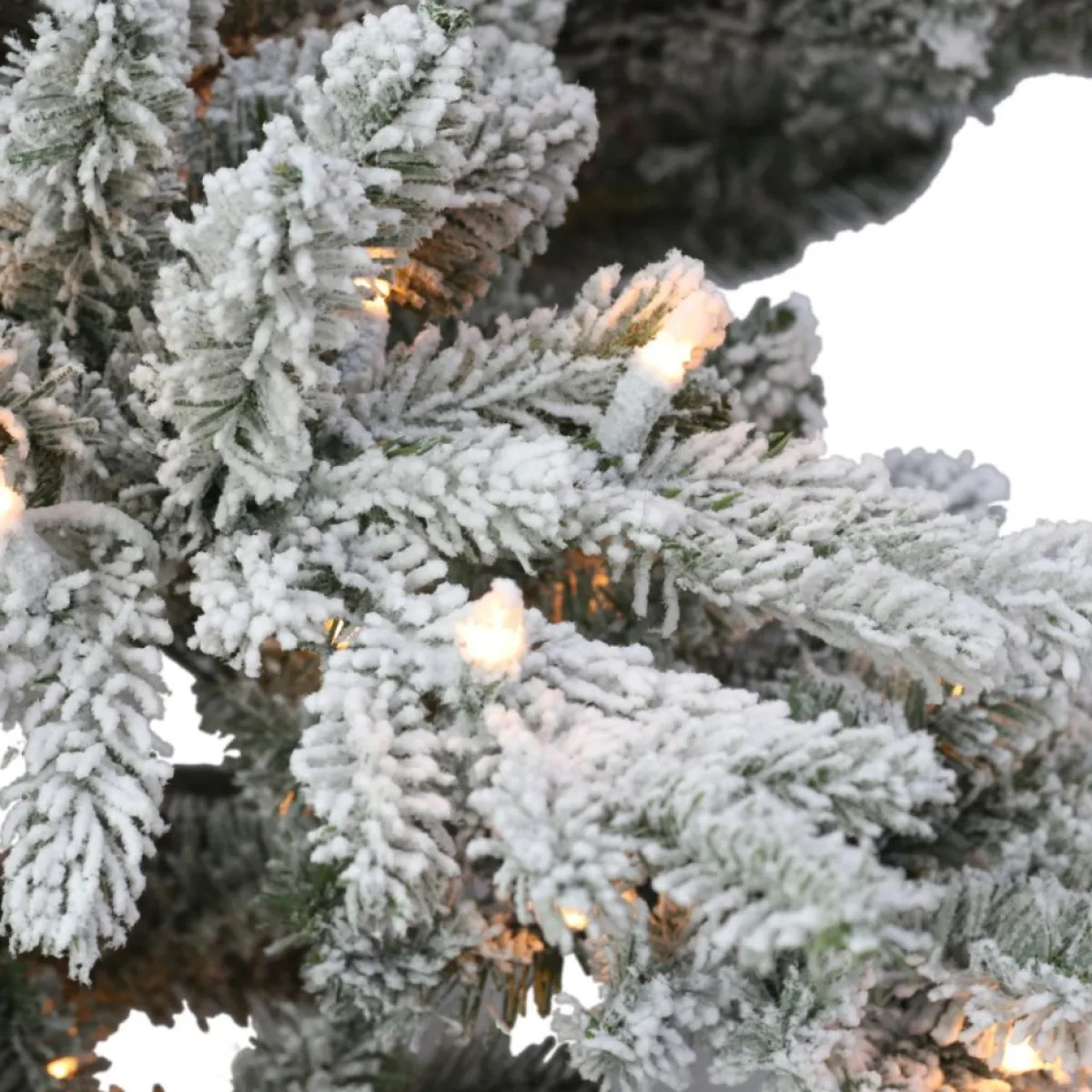 Puelo International Puleo International 6.5' Prelit Flocked Utah Fir Tree 350 Clear Lights Discount