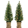 Puleo International Set Of 2 3.5' Potted Pre-Lit Trees 35 White Leds Hot