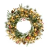 Puleo International Puleo Intl. Pre-Lit 24" Decorated Christmas Wreath W/ 50 Lights, Green