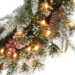 Puleo International Puleo Intl. Pre-Lit 24