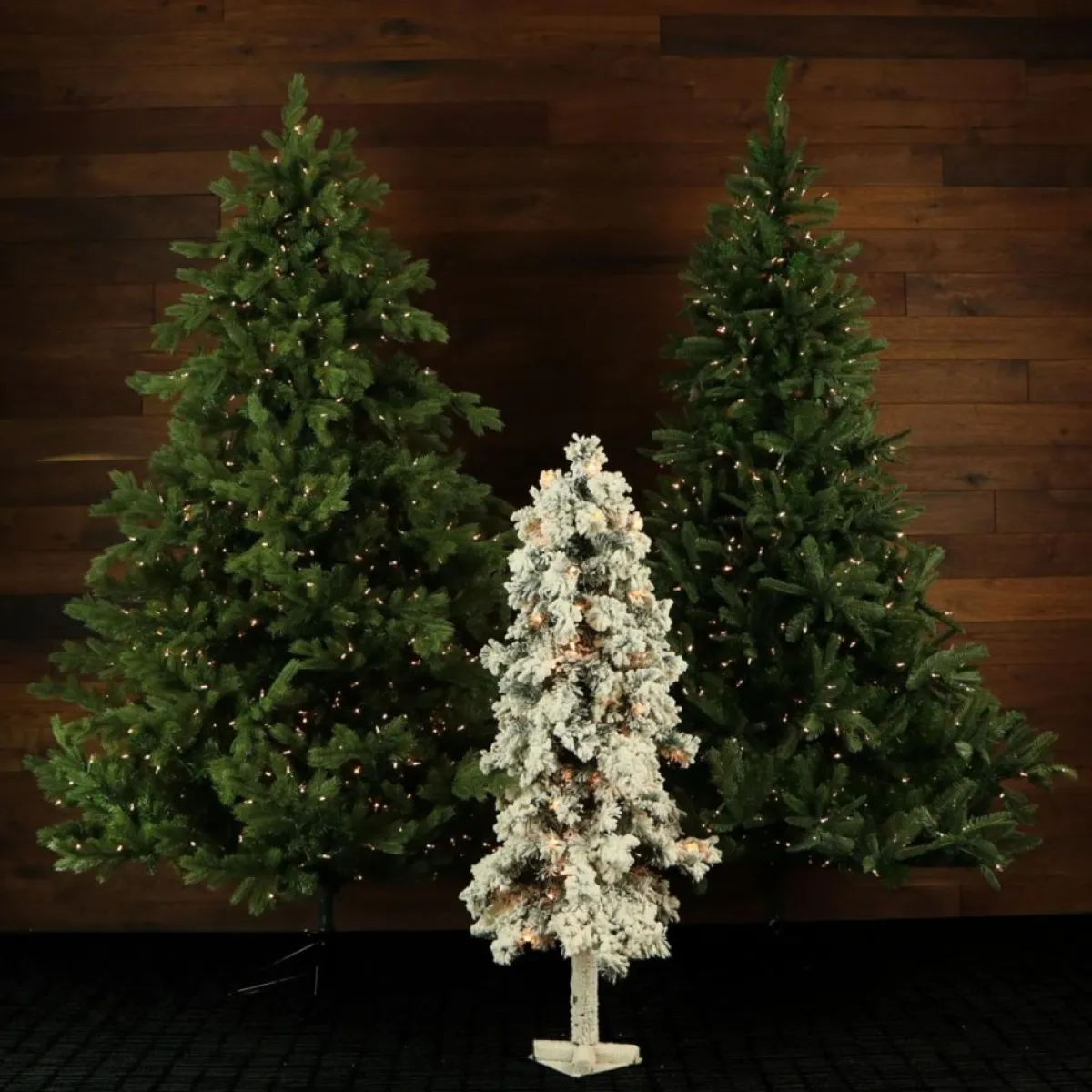 Fraiser Hill Farms Set Of Snowy Alpine Trees With Clear Lights New