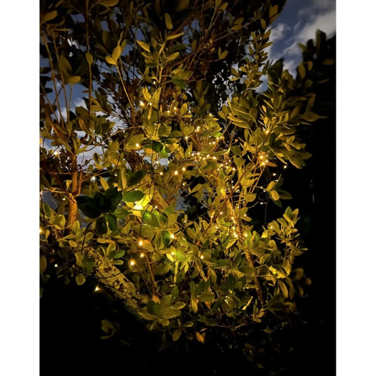 Winter Lane 150-Led Strand Of Solar-Powered Fairy Lights Outlet