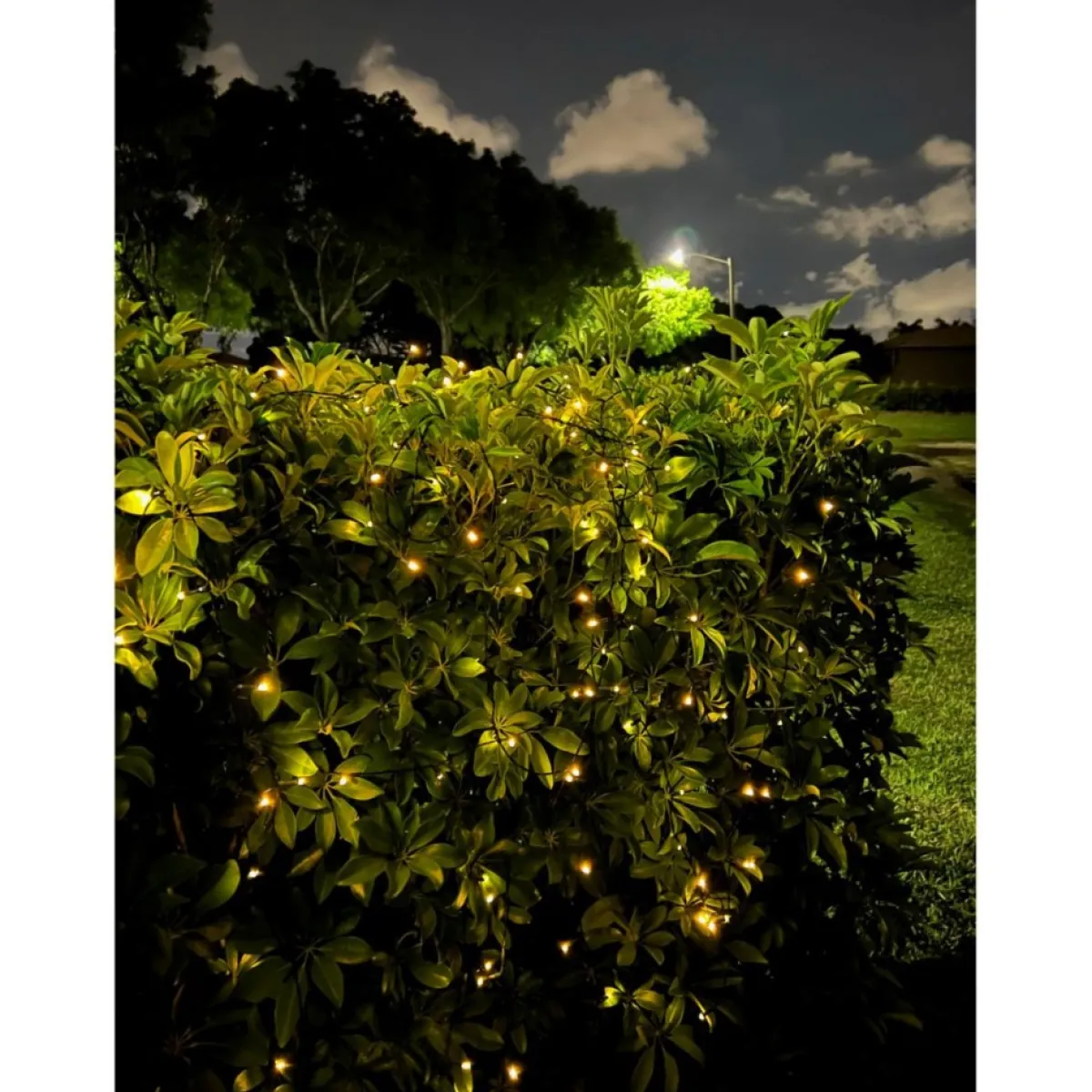Winter Lane 150-Led Strand Of Solar-Powered Fairy Lights Outlet
